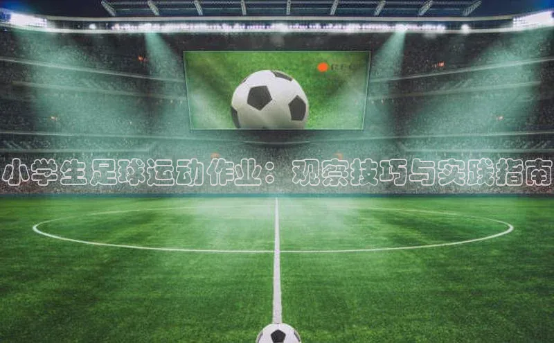 杏耀登录测速百度翻译App