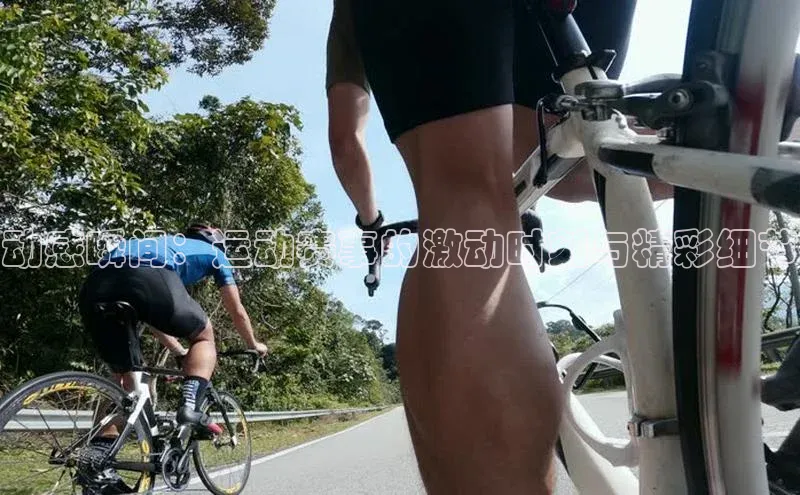 杏耀登录测速